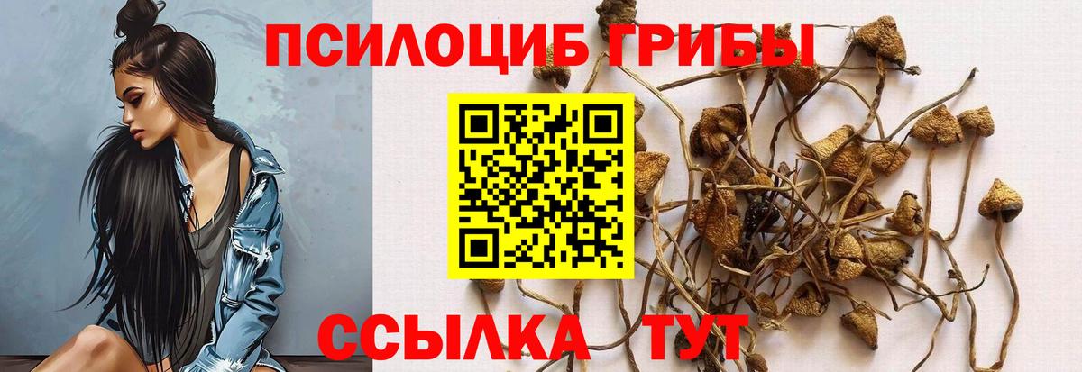 Галлюциногенные грибы Cubensis Скопин